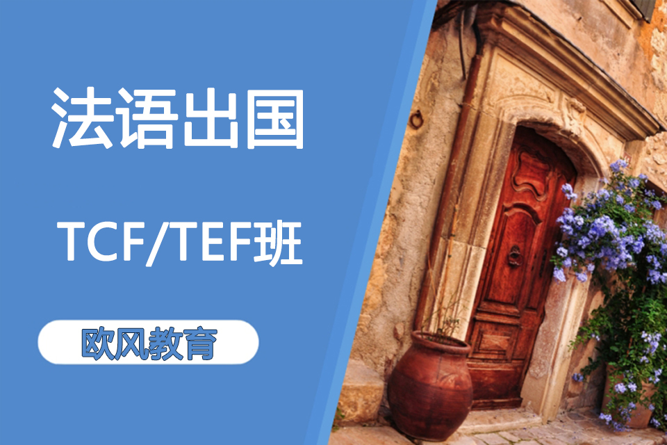 济南TCF/TEF强化班