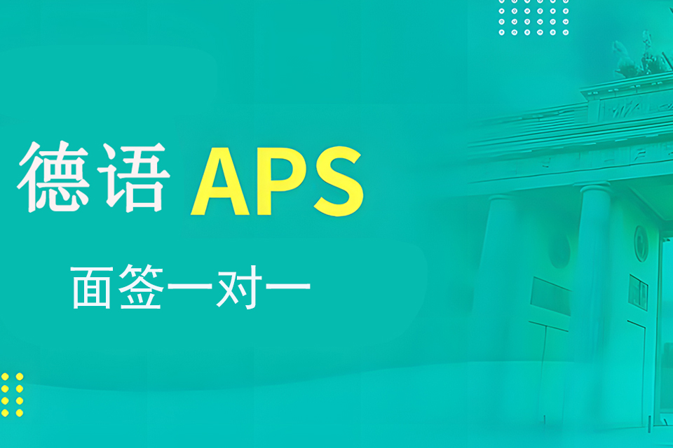 苏州APS面签一对一