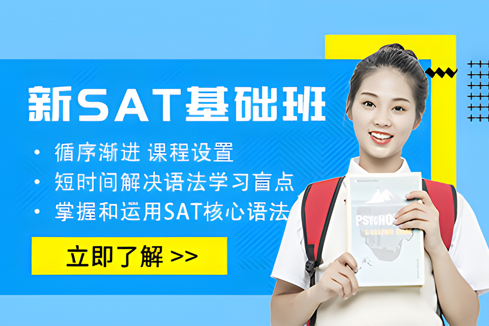 重庆新SAT6人基础班