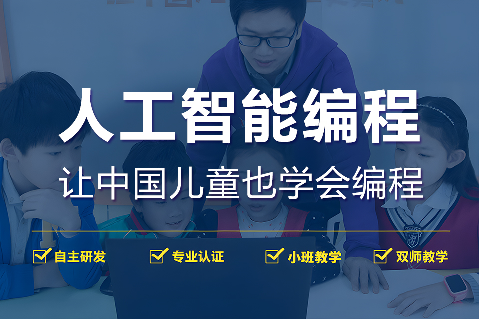 上海人工智能编程