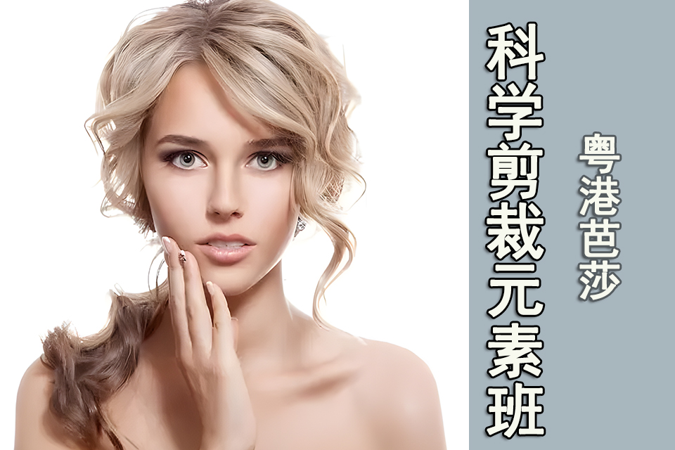 重庆科学剪裁元素班