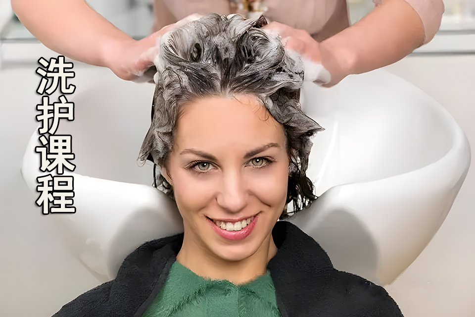 莆田洗护课程 