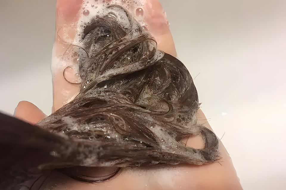洗护课程 