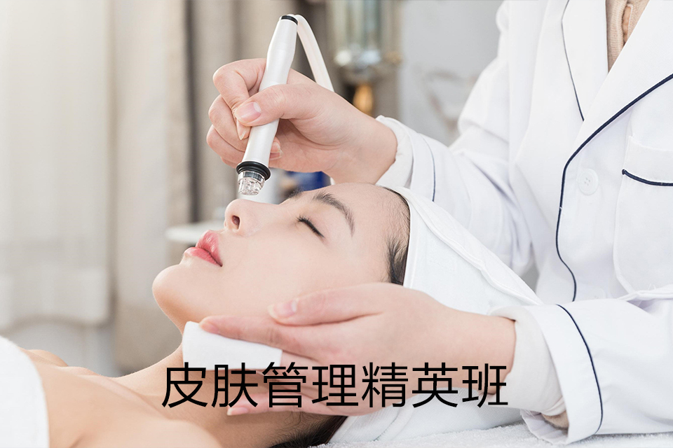 嘉兴皮肤管理精英班