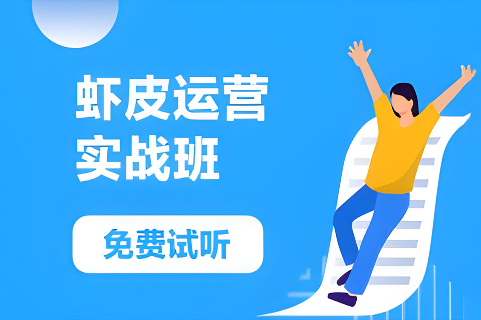 深圳Shopee实战班