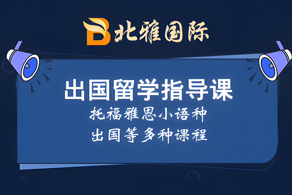 海口出国留学指导课