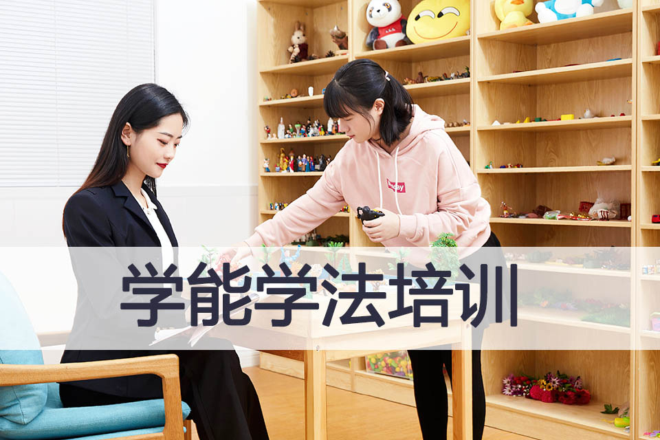 成都学能学法培训