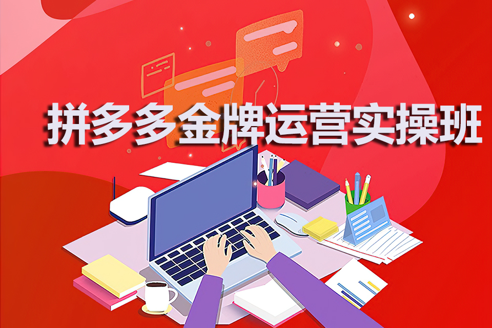 金华拼多多金牌运营实操班