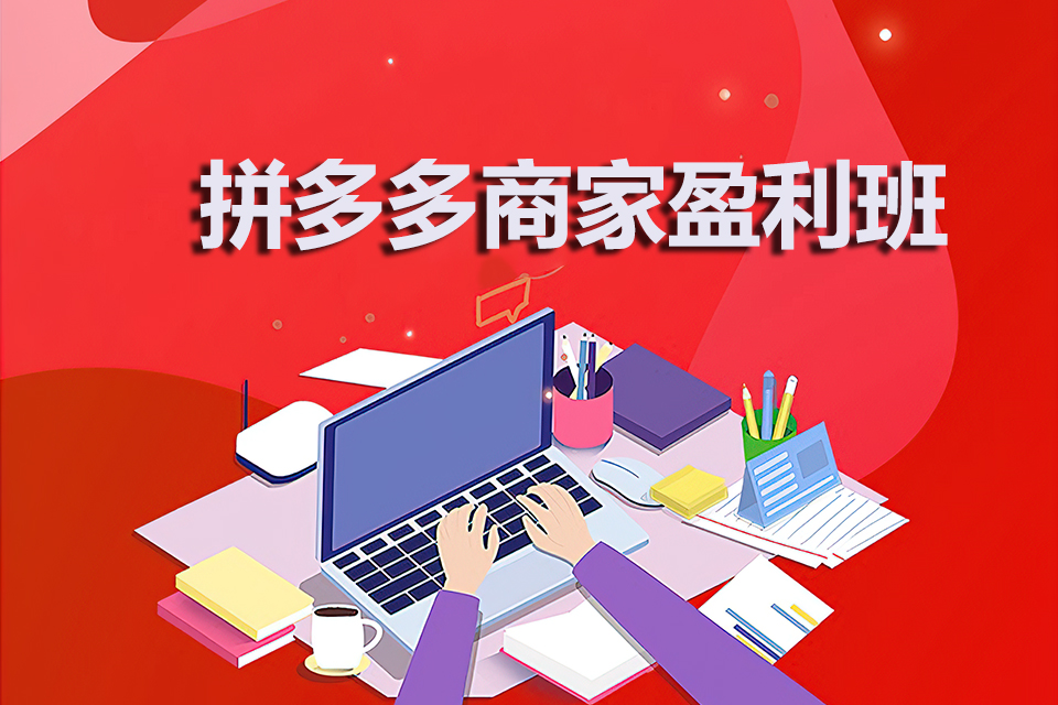 金华拼多多商家盈利班