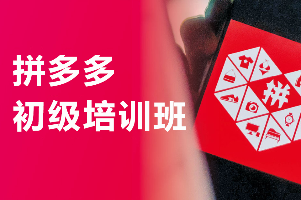 苏州拼多多初级培训班