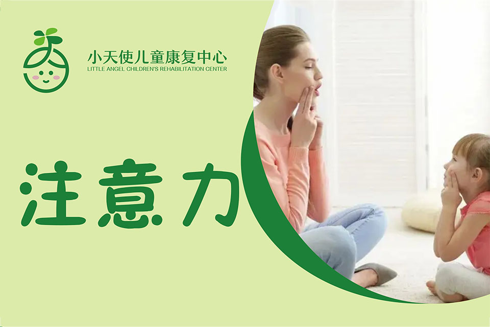 绍兴注意力训练