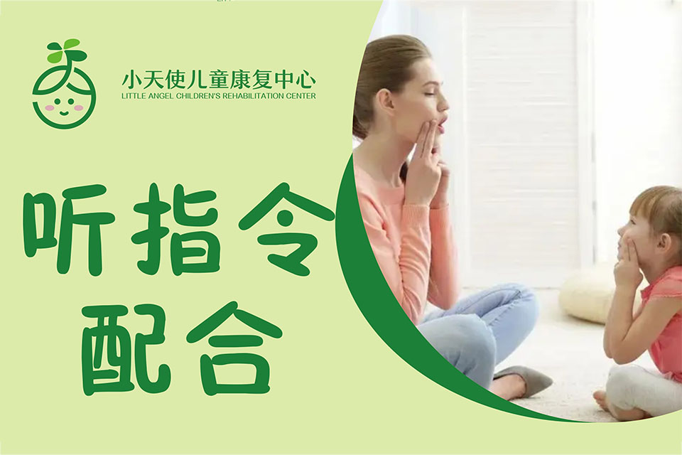 绍兴听指令配合训练