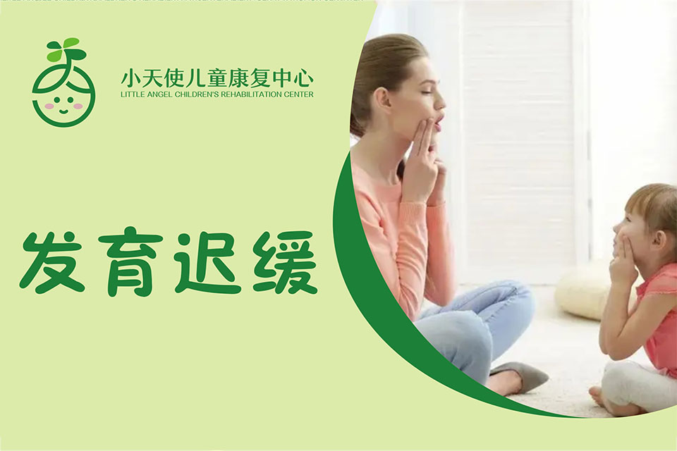 绍兴发育迟缓干预