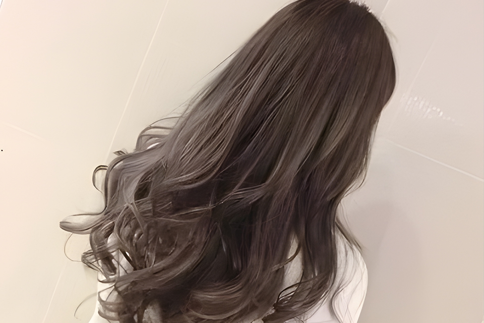 美发系统剪裁班