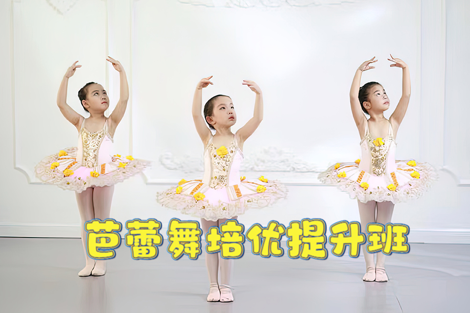 北京芭蕾舞少儿启蒙二班