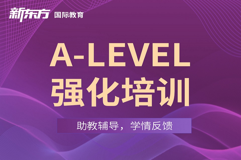 东莞A-LEVEL强化班