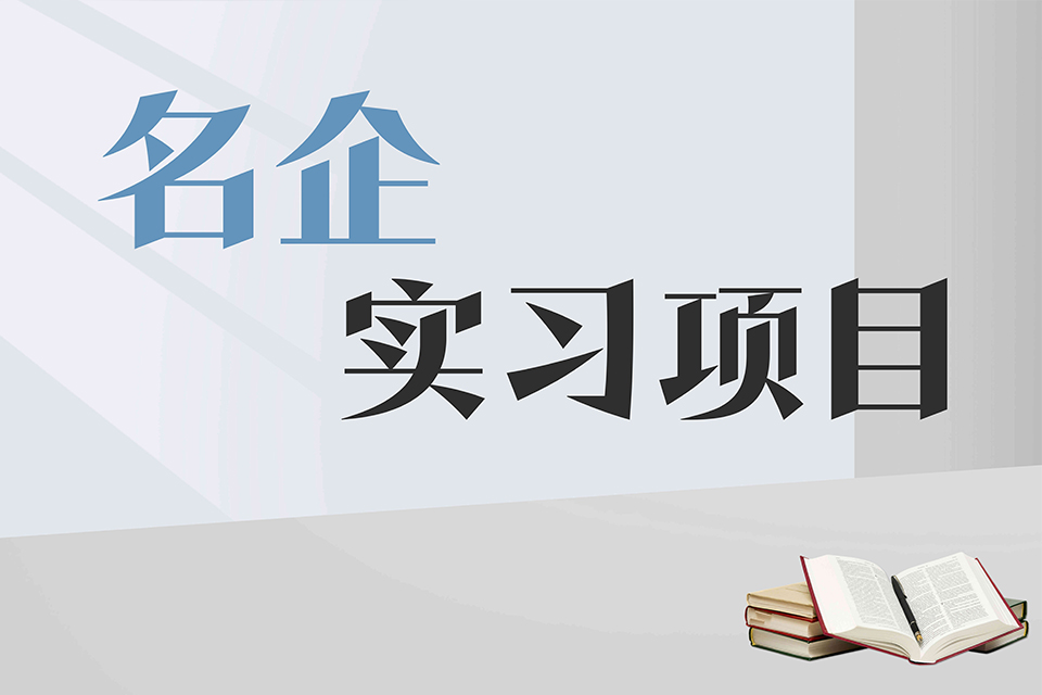 北京名企实习项目