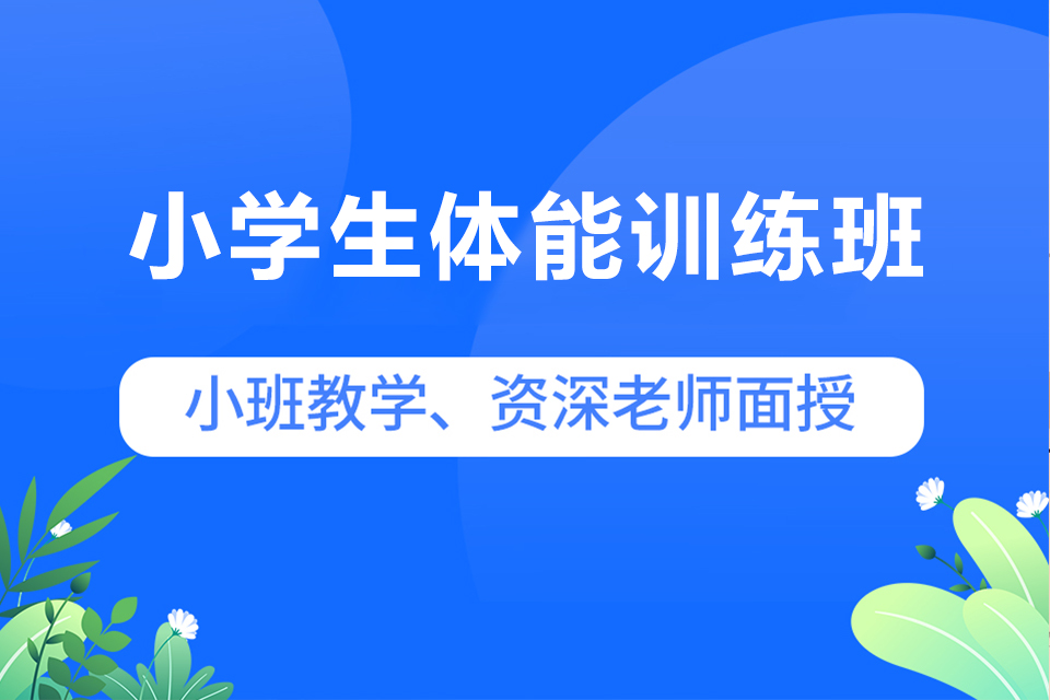 北京小学生体能训练班