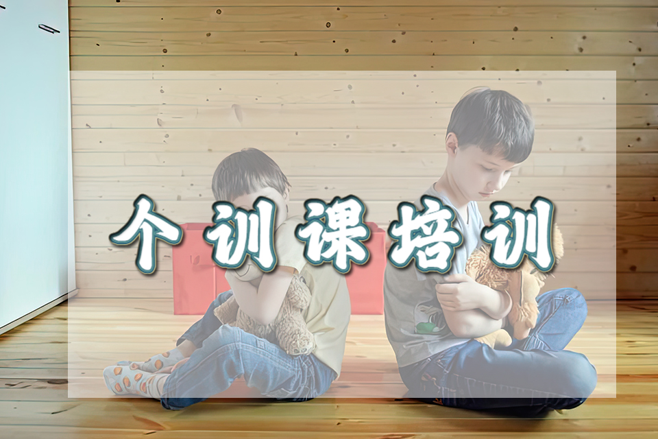 天津个训课培训