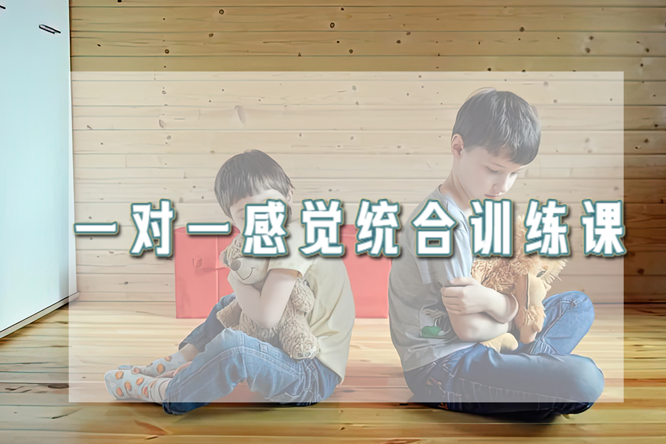 天津一对一感觉统合训练课