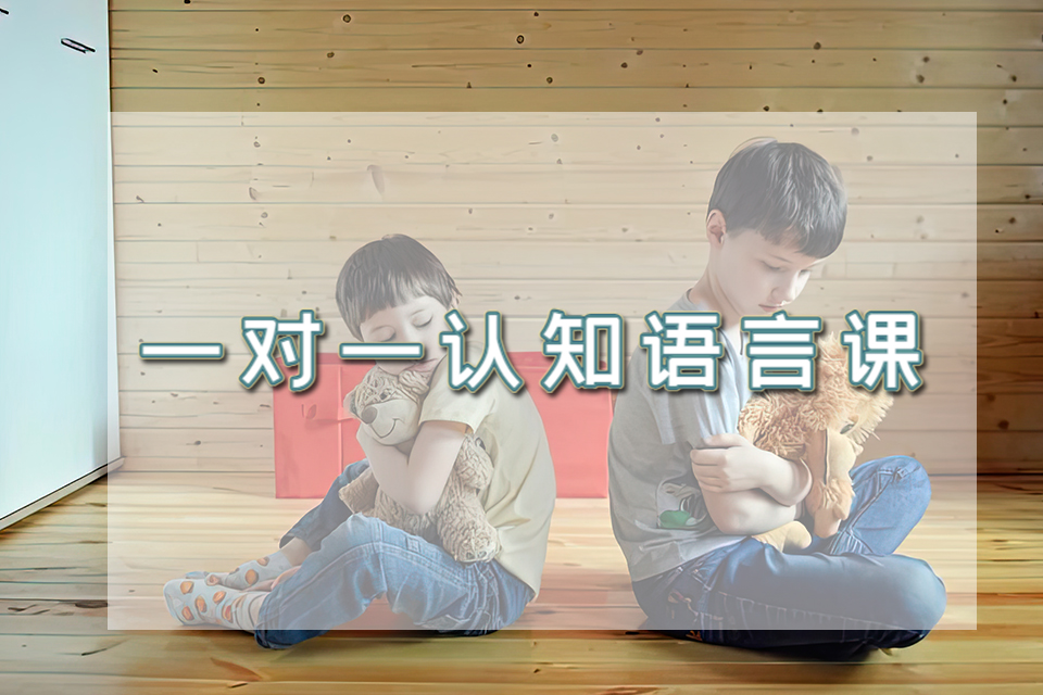 天津一对一认知语言课