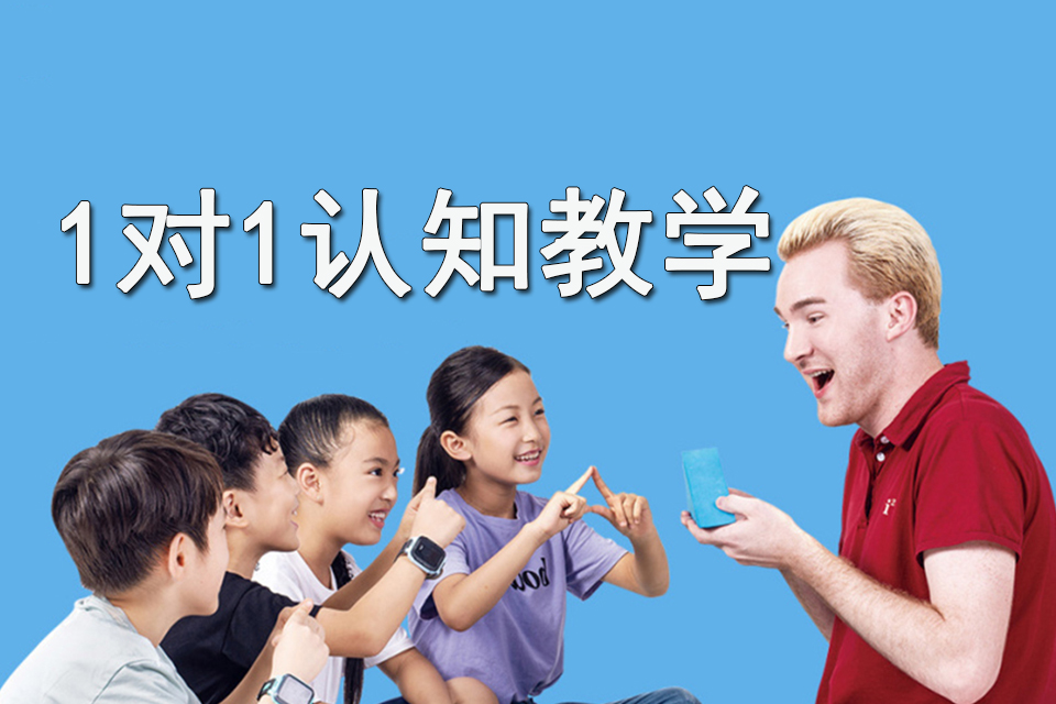 天津1对1认知教学