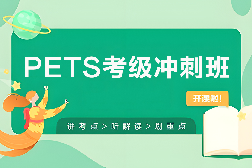 东莞PETS考级冲刺班