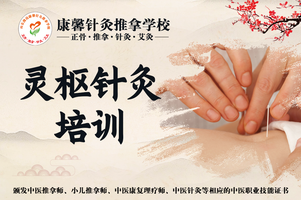 潍坊中医针灸班
