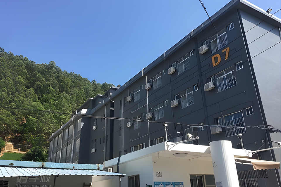 广州音乐高考培训综合班