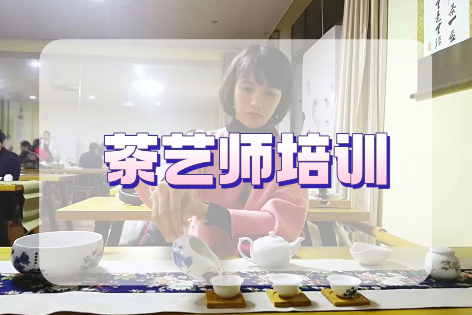 宁波茶艺师培训