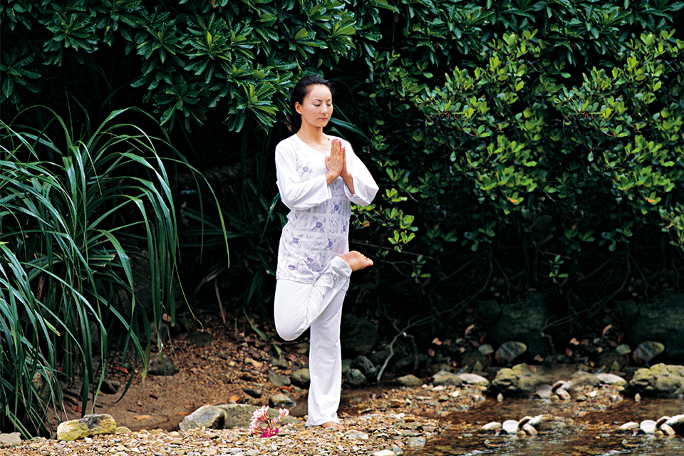 深圳全效理疗課程