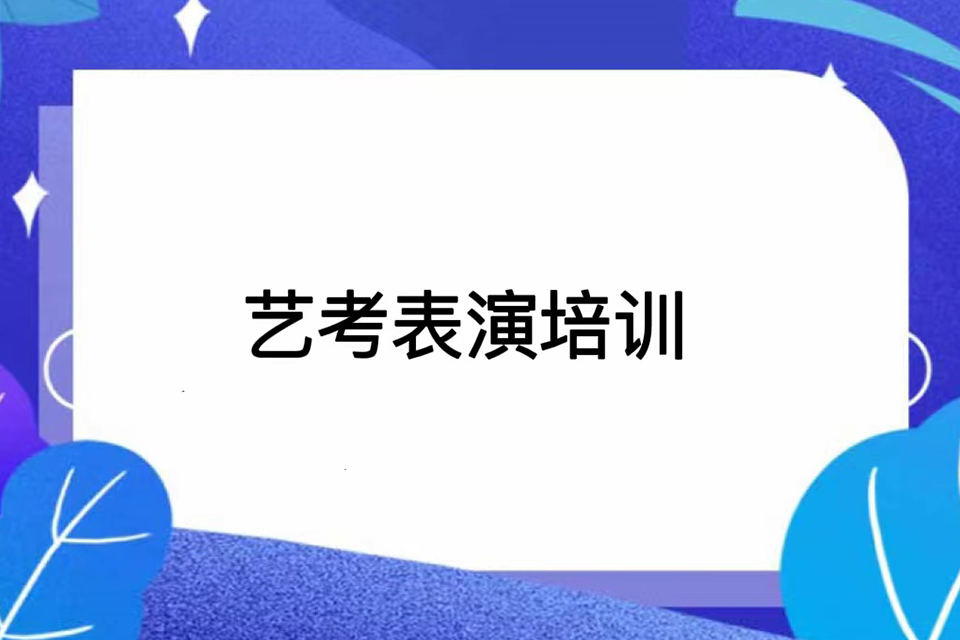 武汉艺考表演培训