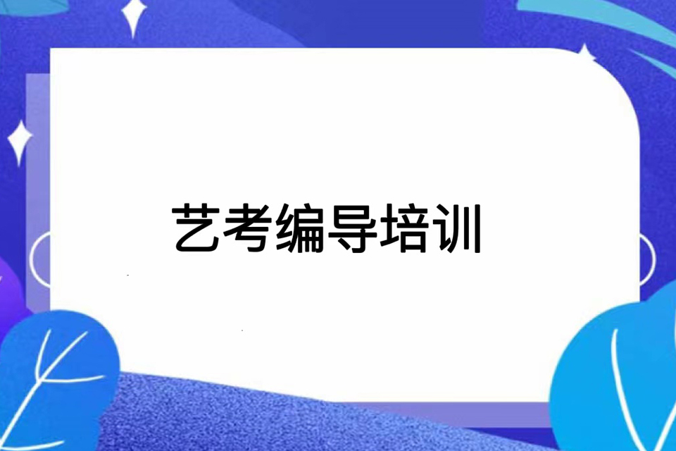 武汉艺考编导培训