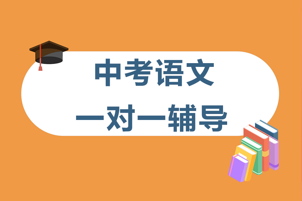 石家庄中考语文一对一辅导