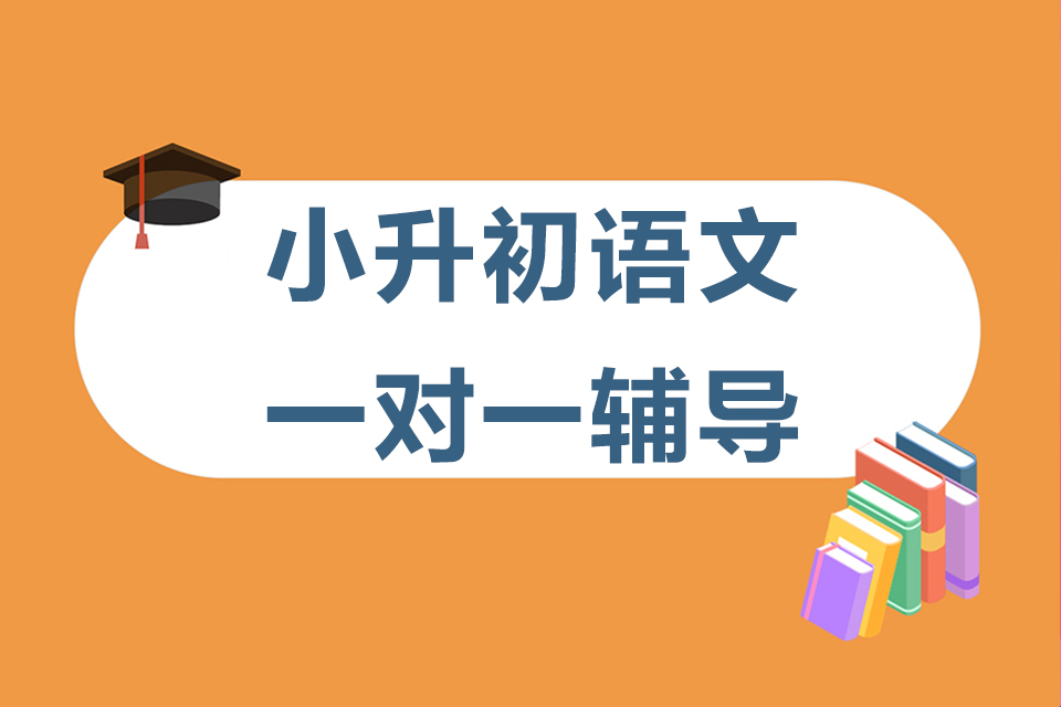 石家庄小升初语文一对一辅导