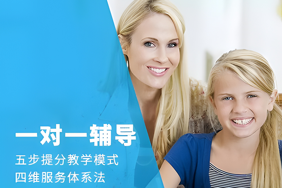 新乡小初高一对一辅导