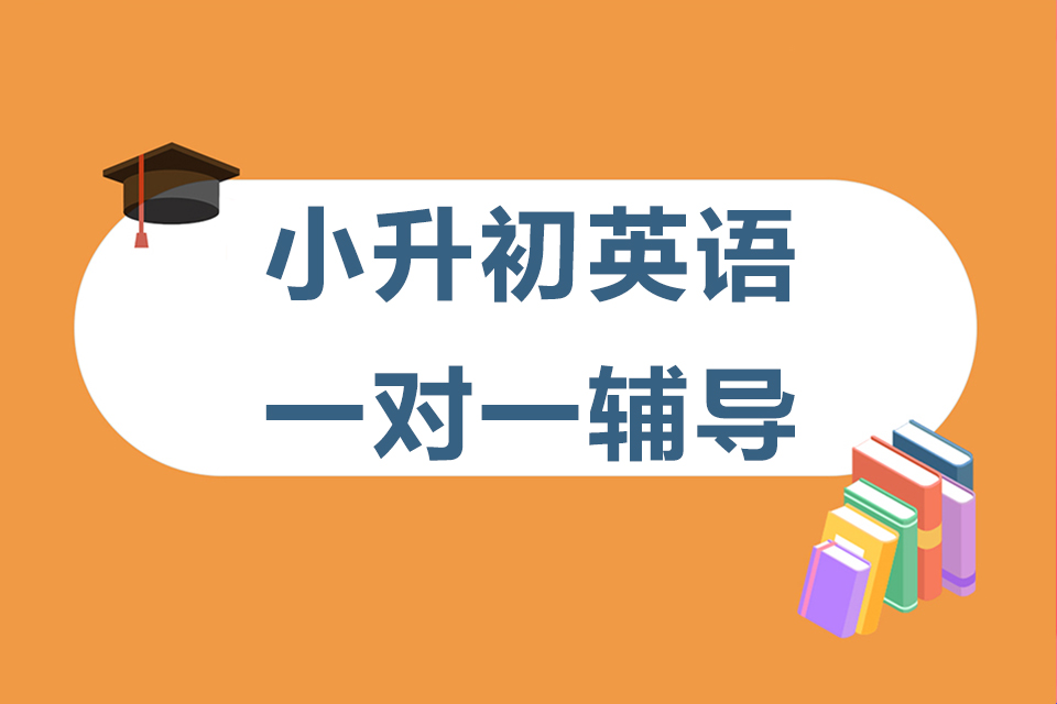 石家庄小升初英语一对一辅导