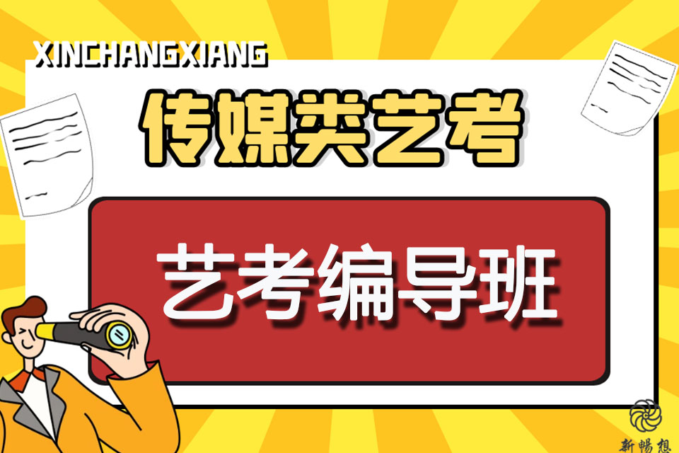 石家庄艺考编导班