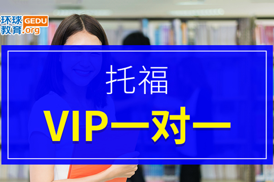 武汉托福VIP 一对一 