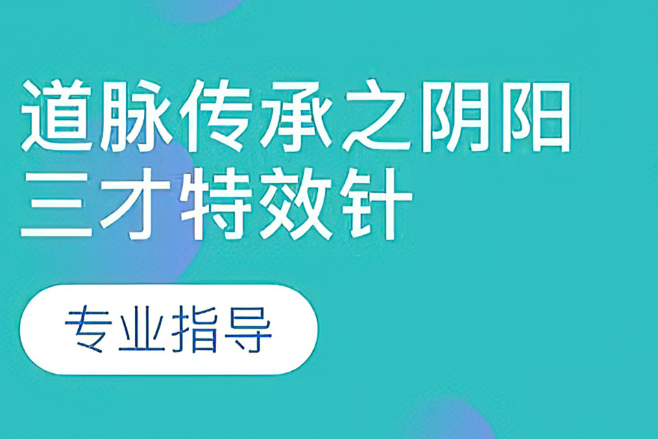 北京道脉传承阴阳三才针法