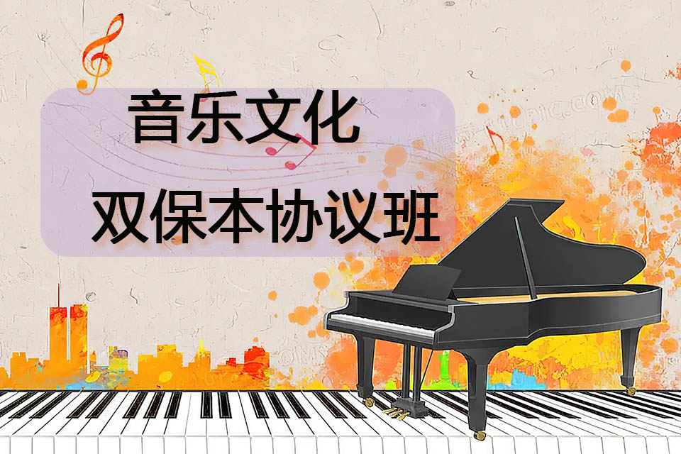 广州音乐文化双保本协议班