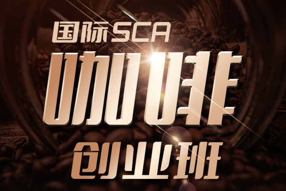 杭州咖啡创业班