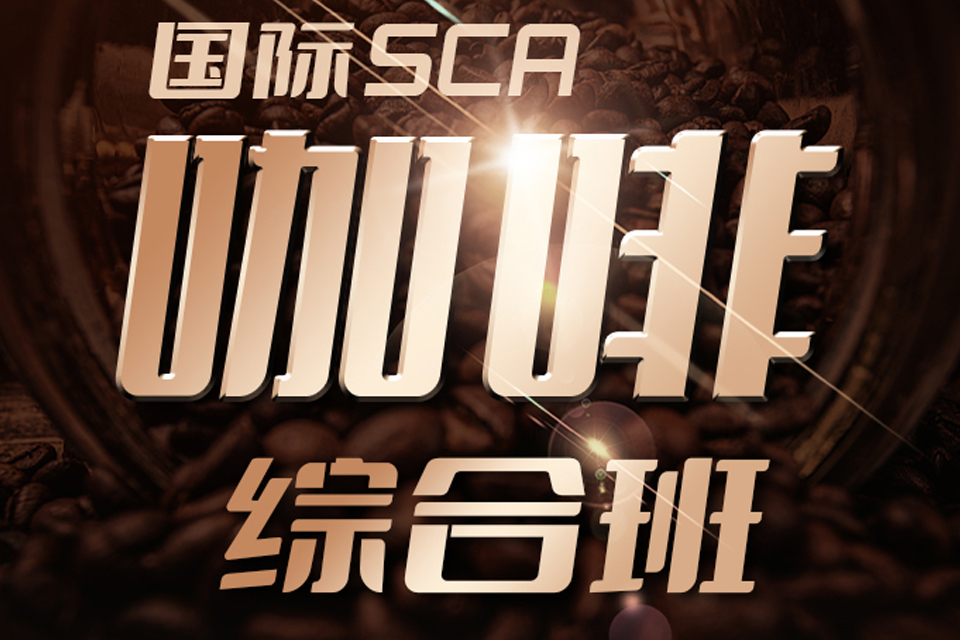 杭州咖啡综合班