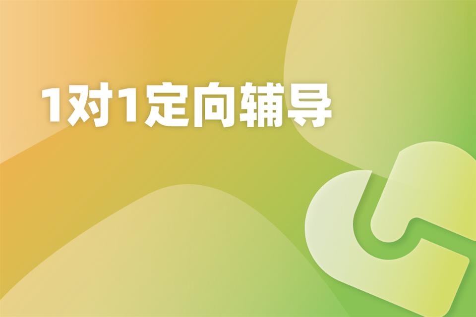 上海考研1对1定向辅导