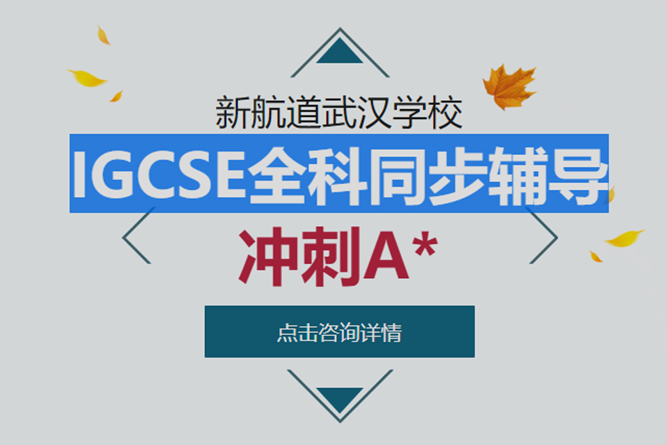 武汉IGCSE全科辅导