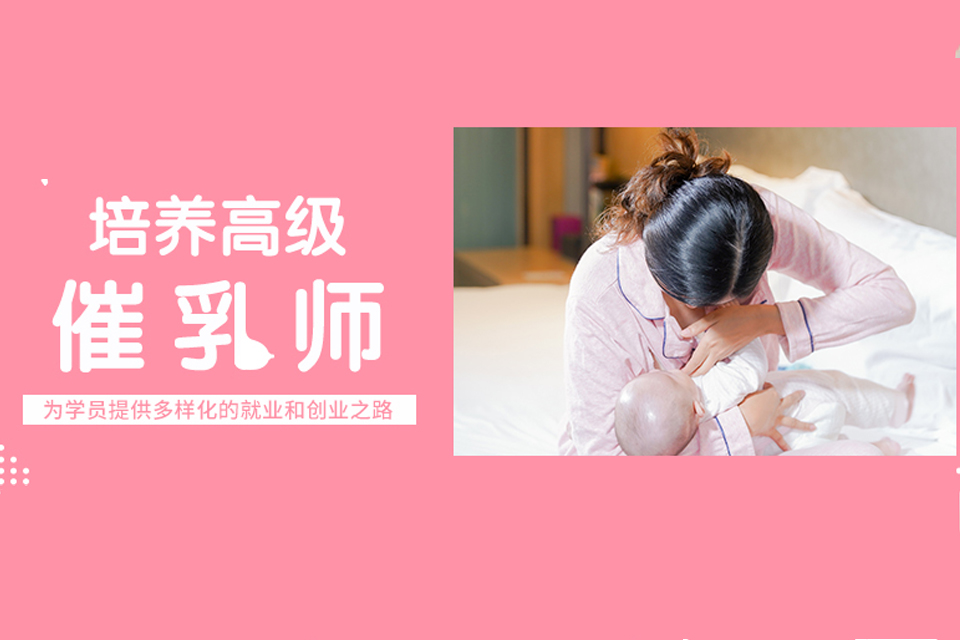 广州催乳师培训