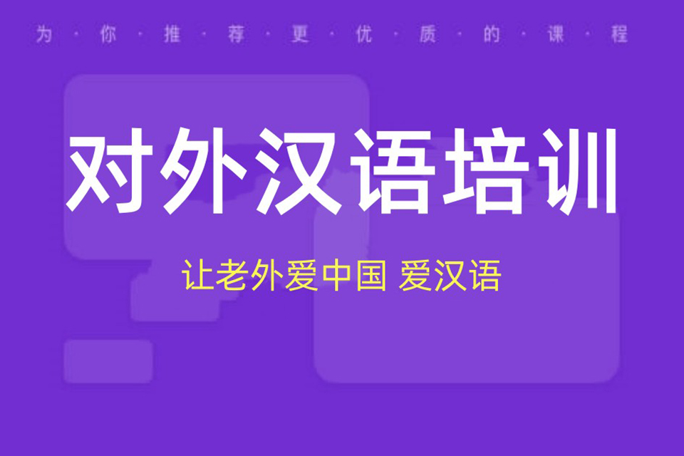 北京对外汉语一对一课程