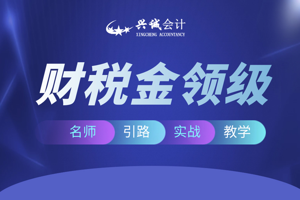 银川财税金领级