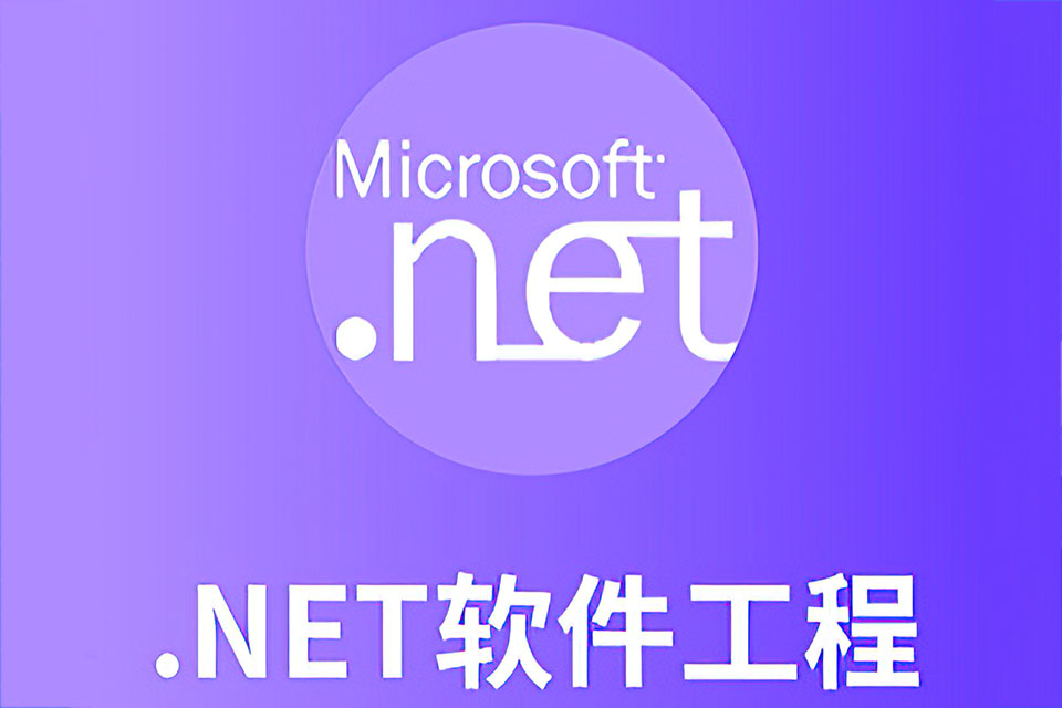 长沙NET软件工程