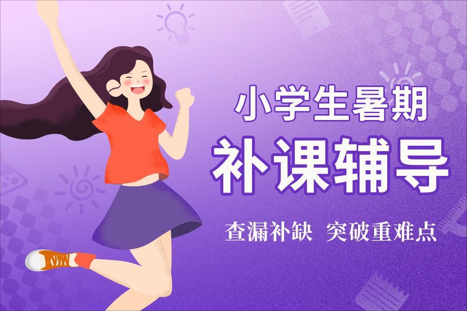 扬州小学生暑期补课辅导